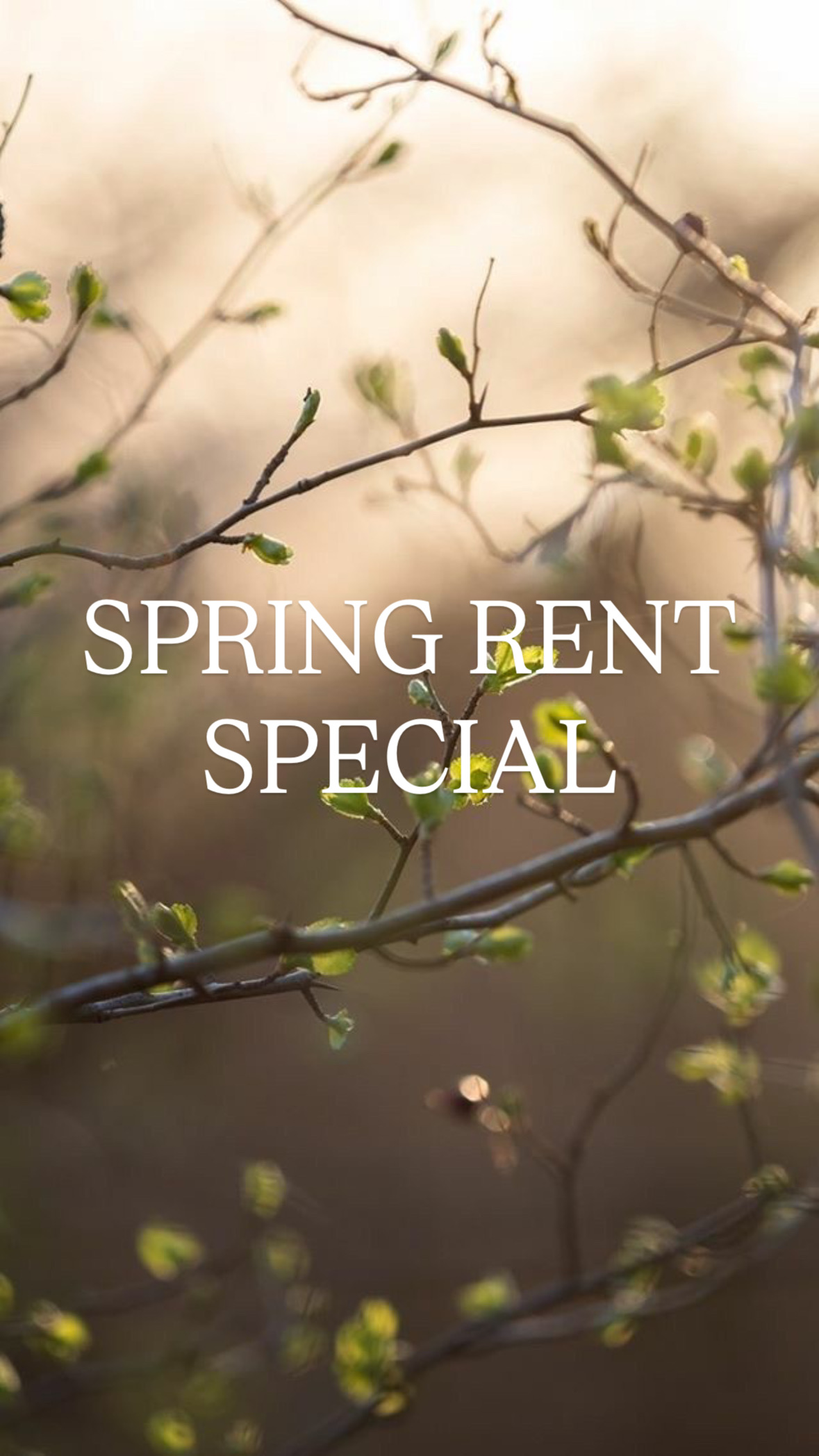 1704 SW Casuarina Dr. - 1